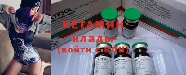 круглые Пересвет