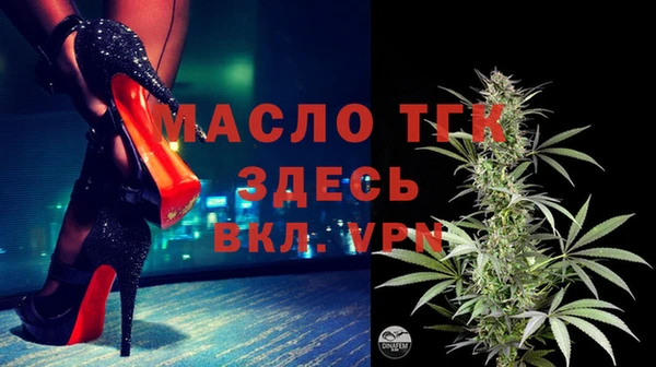 молекула духа Пестово